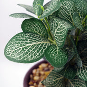 22cm Ceramic Planter Copper Band with Artificial Dark Green Mosaic Plant